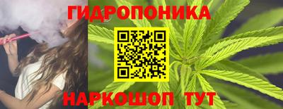 прущие грибы Конаково