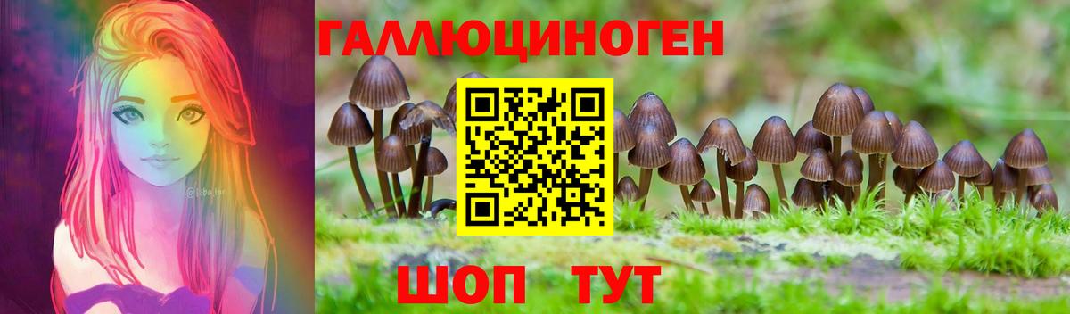 Галлюциногенные грибы GOLDEN TEACHER  Вход с VPN  Псилоцибиновые грибы MAGIC MUSHROOMS  Кировск 
